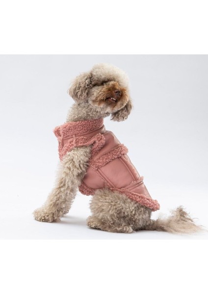 Rose Churchill Su Geçirmez Küçük Irk Köpek Yeleği modelleri