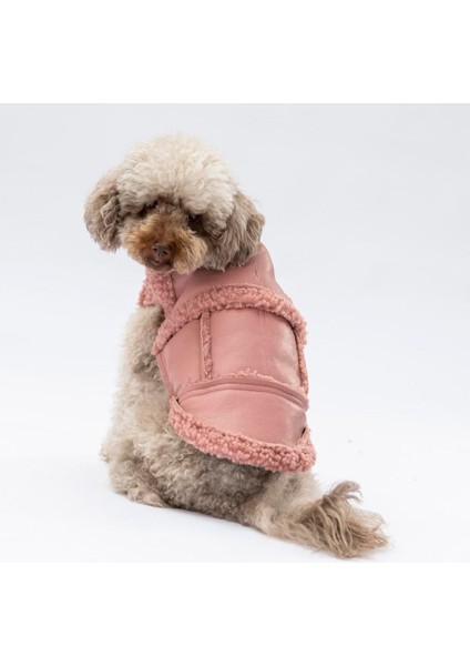 Rose Churchill Su Geçirmez Küçük Irk Köpek Yeleği fırsatları