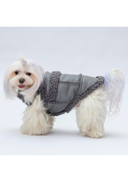 Gri Churchill Su Geçirmez Küçük Irk Köpek Yeleği