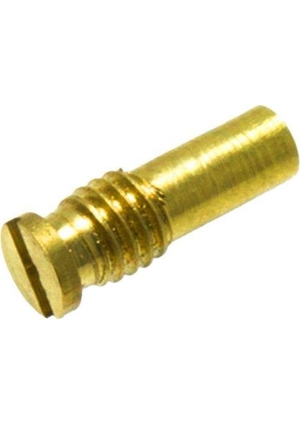 Juki 8700-9000-5400 Seri Düz Çağanoz Pimi ve Vidası