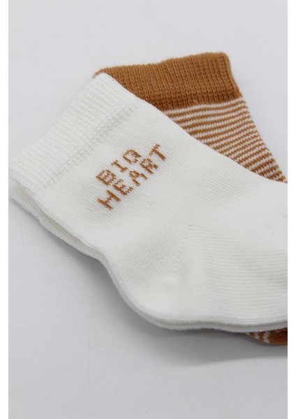 Nessiworld Bistyle Big Heart Penye Soket Çorap 2'li BS10117 Hardal