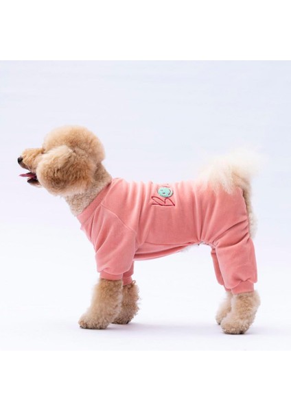 Rose Bonjour Kadife Küçük Irk Köpek Tulumu