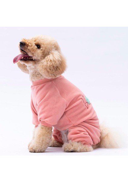 Rose Bonjour Kadife Küçük Irk Köpek Tulumu fiyatları