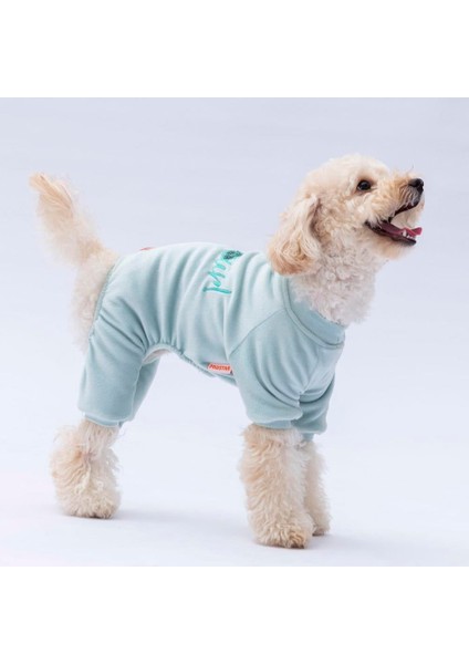 Mint Bonjour Kadife Küçük Irk Köpek Tulumu