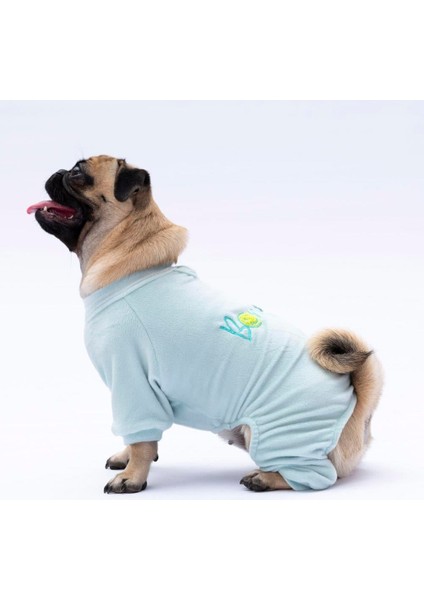 Mint Bonjour Kadife Küçük Irk Köpek Tulumu fiyatları