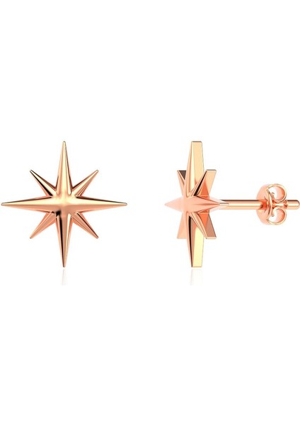 Sade Minik Kutup Yıldızı Rose Gümüş Küpe