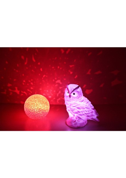 Pembe Led Baykuş Ve Yansımalı Küre Gece Lambası