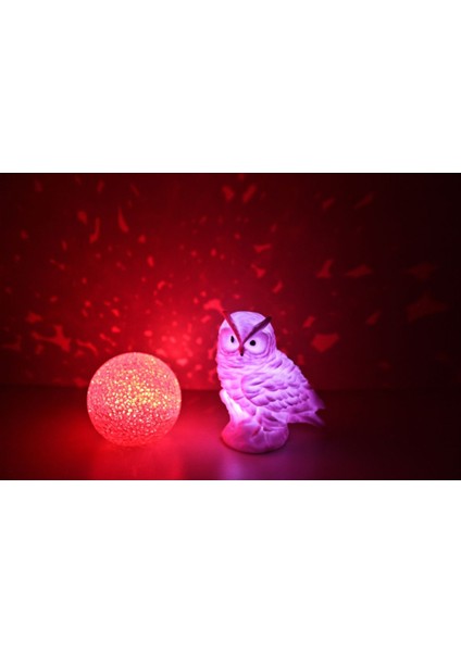 Pembe Led Baykuş Ve Yansımalı Küre Gece Lambası