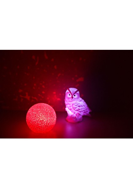 Pembe Led Baykuş Ve Yansımalı Küre Gece Lambası
