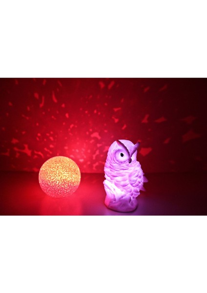 Pembe Led Baykuş Ve Yansımalı Küre Gece Lambası