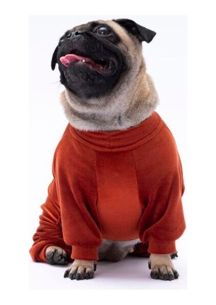 Kiremit Bonjour Kadife Küçük Irk Köpek Tulumu modelleri