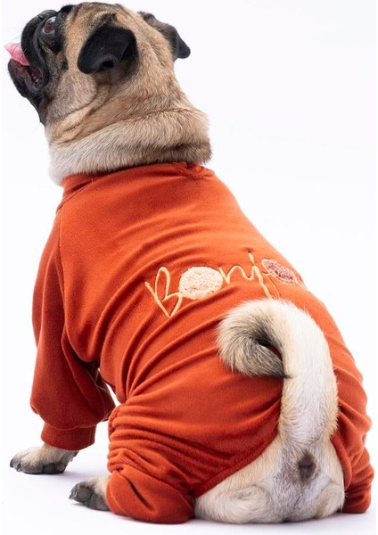 Kiremit Bonjour Kadife Küçük Irk Köpek Tulumu