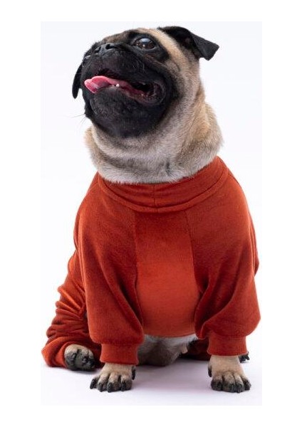 Kiremit Bonjour Kadife Küçük Irk Köpek Tulumu modelleri