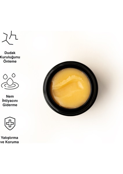 Vegan Dudak Balmı | Lip Treat modelleri