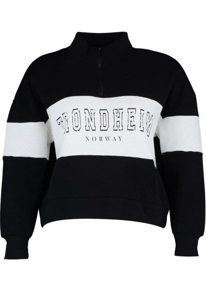Kadın Büyük Beden Moda Regular Dik Yaka Düşük Kol Regular Fermuarlı Kalın Şardonlu Örme Sweatshirt