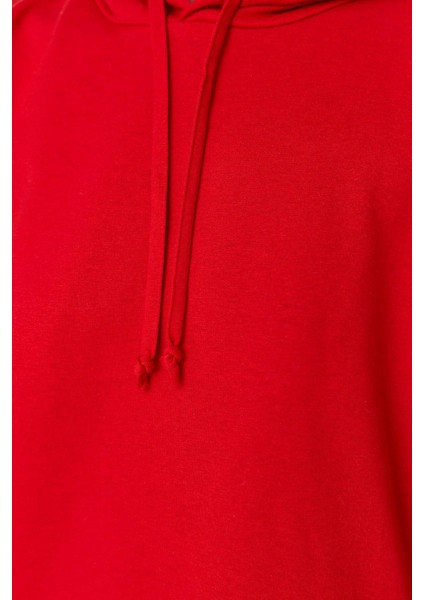 Kadın Moda Şık Regular Kapüşonlu Standart Kol Regular Normal Kalıp Basic Ince Örme Sweatshirt