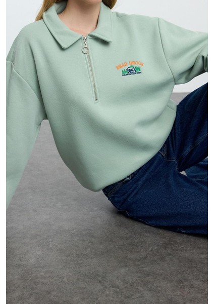 Kadın Fermuarlı Yaka Düşük Kol Fermuar Yaka Nakış Detaylı Fit Kalın Içi Polarlı Örme Sweatshirt fiyatları