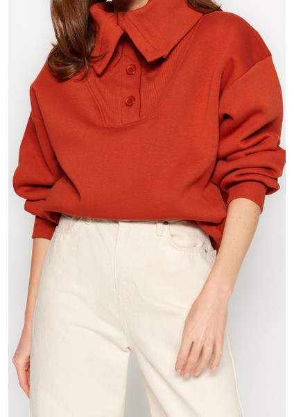 Kadın Polo Yaka Düşük Kol Kalın Içi Polarlı Normal Kalıp Triko Detaylı Örme Sweatshirt fırsatları