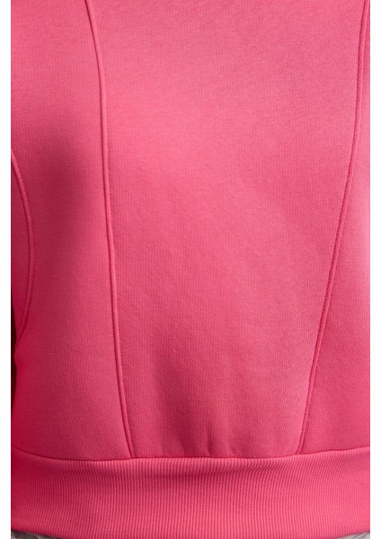 Kadın Bisiklet Yaka Düşük Kol Kalın Içi Polarlı Dikiş Detaylı Normal Kalıp Örme Sweatshirt