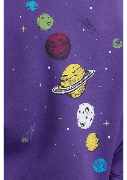 Kadın Regular Bisiklet Yaka Düşük Kol Regular Kalın Içi Polarlı Baskılı Normal Kalıp Örme Sweatshirt
