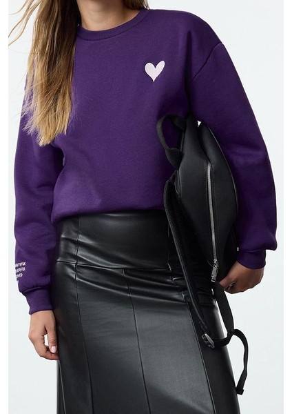 Kadın Regular Bisiklet Yaka Düşük Kol Regular Nakışlı Normal Kalıp Kalın Içi Polarlı Örme Sweatshirt fırsatları