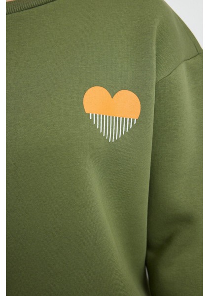 Kadın Bisiklet Yaka Düşük Kol Poplin Detaylı ve Nakış Detaylı Normal Kalıp Örme Sweatshirt fırsatları
