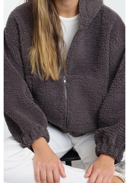 Kadın Moda Regular Kapüşonlu Düşük Kol Regular Peluş Normal Kalıp Fermuarlı Kalın Örme Sweatshirt