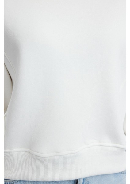 Tarz Regular Bisiklet Yaka Düşük Kol Regular Nervür Detaylı Normal Kalıp Örme Sweatshirt