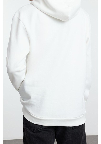 Tarz Bol Kapüşonlu Standart Kol Regular Hokusai Lisans Unıex Normal Kesim Sweatshirt