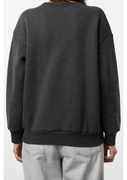 Regular Bisiklet Yaka Standart Kol Regular Basic Fit Baskılı Kalın Içi Polarlı Örme Sweatshirt fırsatları