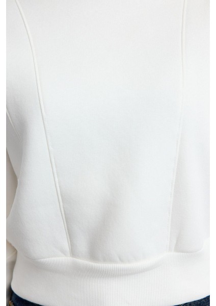 Bisiklet Yaka Düşük Kol Kalın Içi Polarlı Dikiş Detaylı Normal Kalıp Örme Sweatshirt modelleri