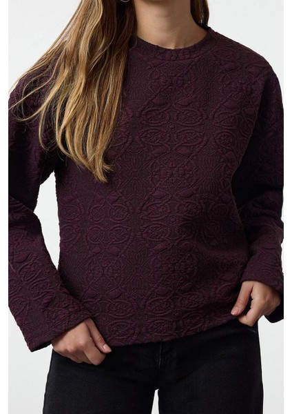 Tarz Regular Bisiklet Yaka Standart Kol Regular Jakarlı Normal Kalıp Örme Sweatshirt fiyatları