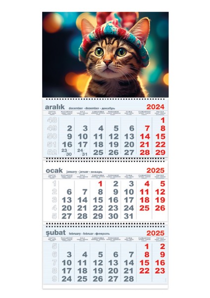 Gemici Duvar Takvimi 33X78 cm 3 Bölümlü Kedi Resimli