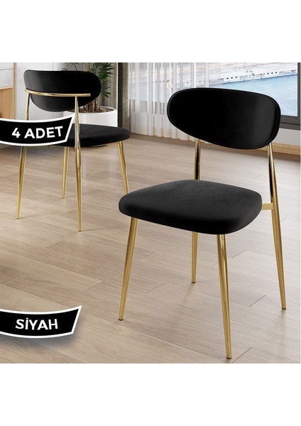 Vina Serisi 4 Adet Sandalye Babyface Ithal Kumaş Gold Metal Ayaklı