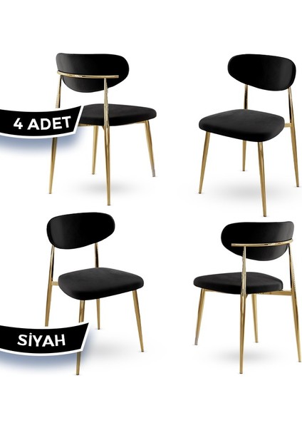Vina Serisi 4 Adet Sandalye Babyface Ithal Kumaş Gold Metal Ayaklı