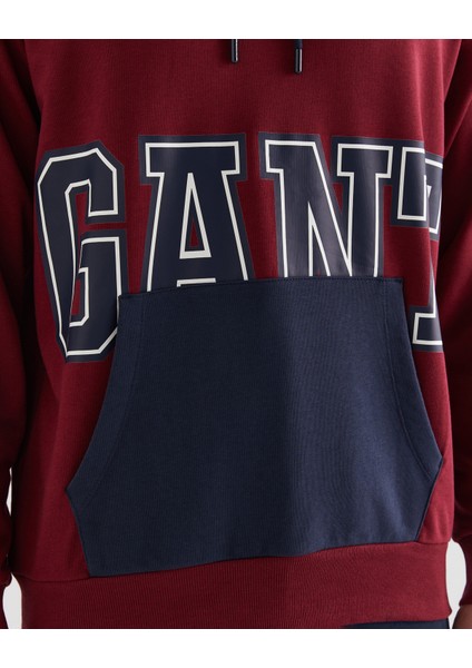 Erkek Bordo Regular Fit Kapüşonlu Logolu Sweatshirt 2524341T.604