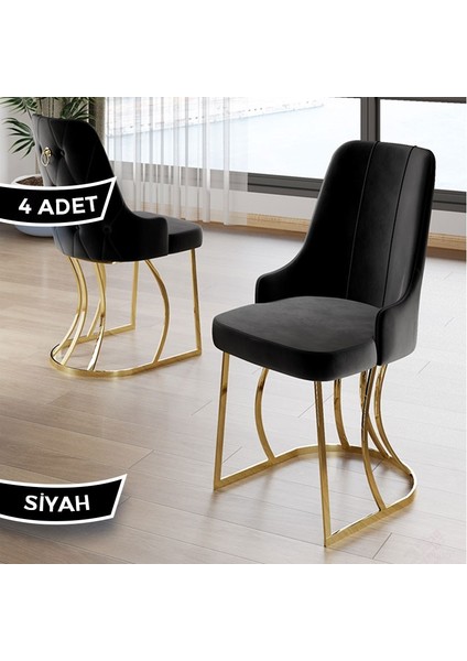Puva Serisi 4 Adet Sandalye Babyface Ithal Kumaş Gold Metal Ayaklı