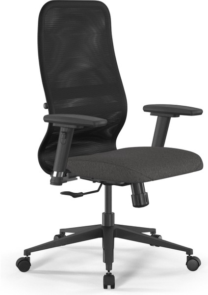 Fileli Ergonomik Ofis Koltuğu / Çalışma Sandalyesi Synchrosit 8 B2-9d - 3D / 1225933