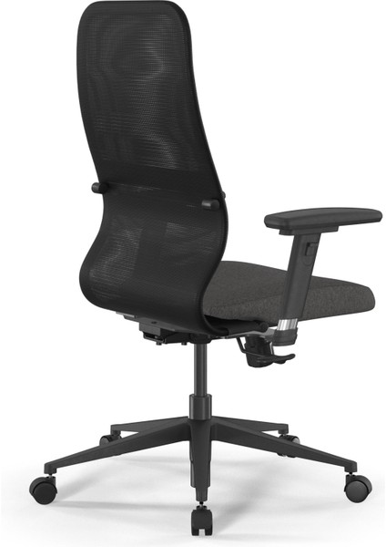 Fileli Ergonomik Ofis Koltuğu / Çalışma Sandalyesi Synchrosit 8 B2-9d - 3D / 1225933