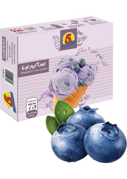 5 Minutes Orman Meyve Aromalı Dondurma Hazırlama Pudrası  75 gr 4 Paket