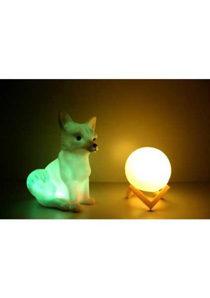 Kar Tilkisi ve 3D LED Küre Gece Lambası