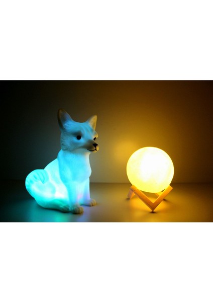 Kar Tilkisi ve 3D LED Küre Gece Lambası