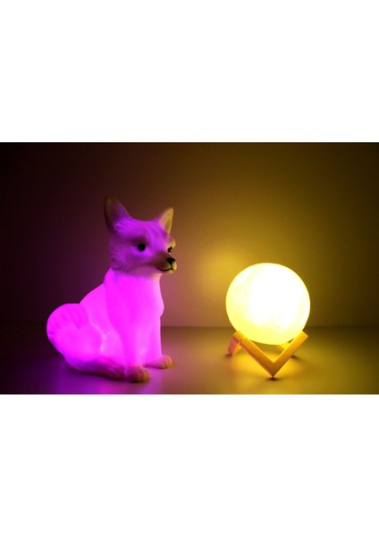 Kar Tilkisi ve 3D LED Küre Gece Lambası