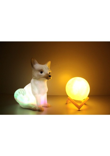 Kar Tilkisi ve 3D LED Küre Gece Lambası