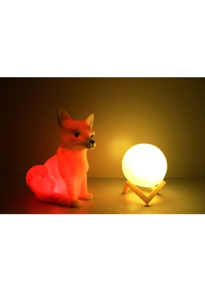 Kar Tilkisi ve 3D LED Küre Gece Lambası
