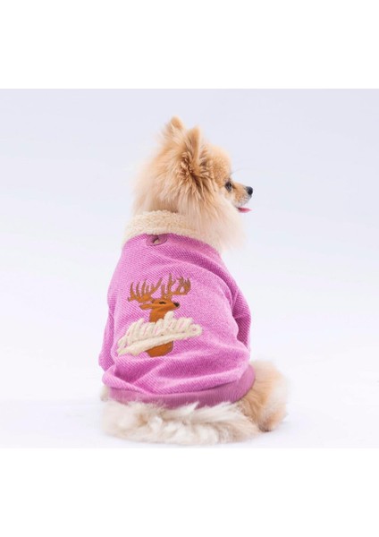 Pembe Alaska Esnek, Küçük Irk Köpek Trikosu