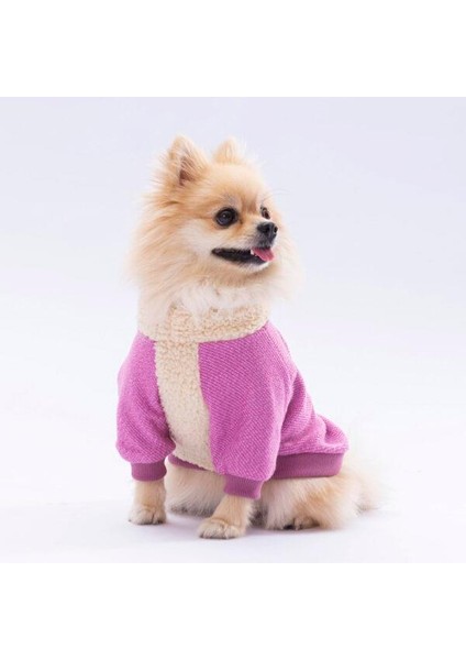 Pembe Alaska Esnek, Küçük Irk Köpek Trikosu