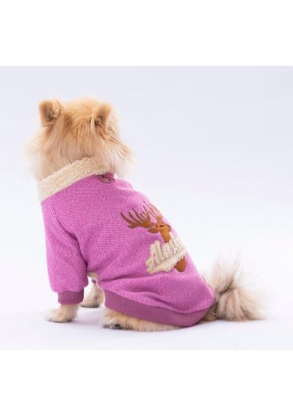 Pembe Alaska Esnek, Küçük Irk Köpek Trikosu