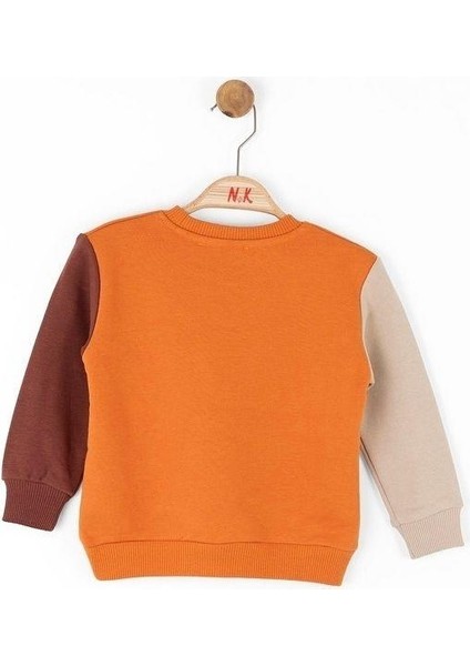 Erkek Bebek Pamuklu Orta Kalınlık Sweatshirt fiyatları