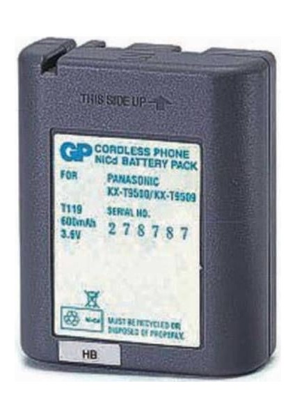 T 119 Panasonic Telsiz Telefon Pili
